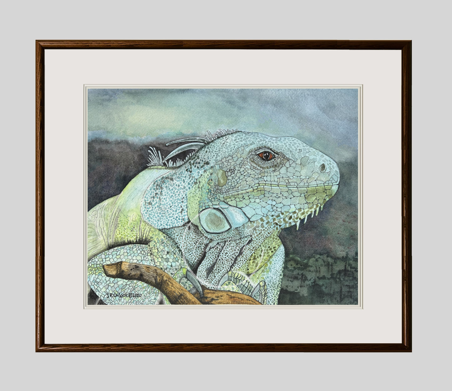 Print, Limelight Iguana Perch, Open Edition from an original painting, see separate listing if purchasing the digital version