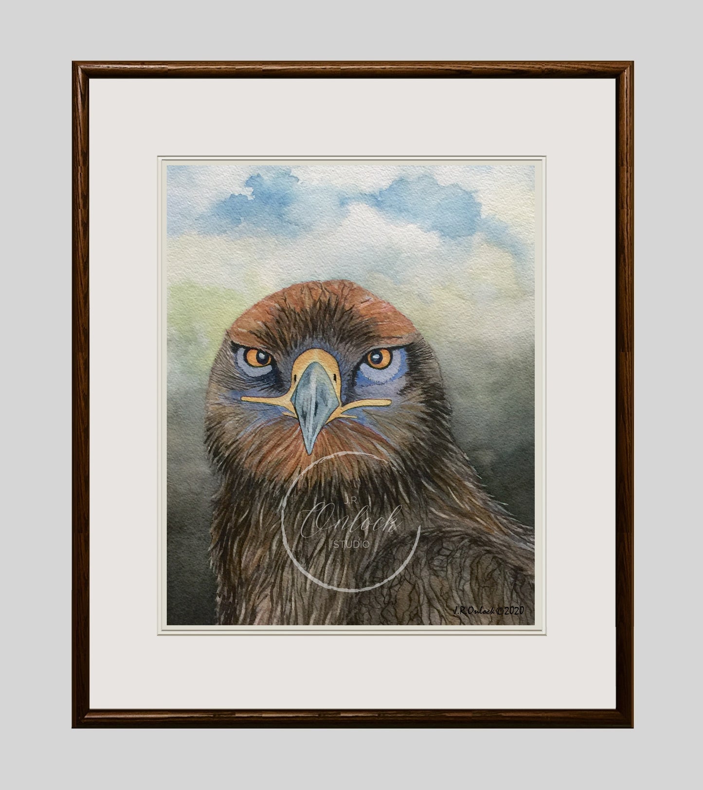 Digital, Calm Vigilance, Open Edition from an original painting, hawk, see separate listing if purchasing the Print version