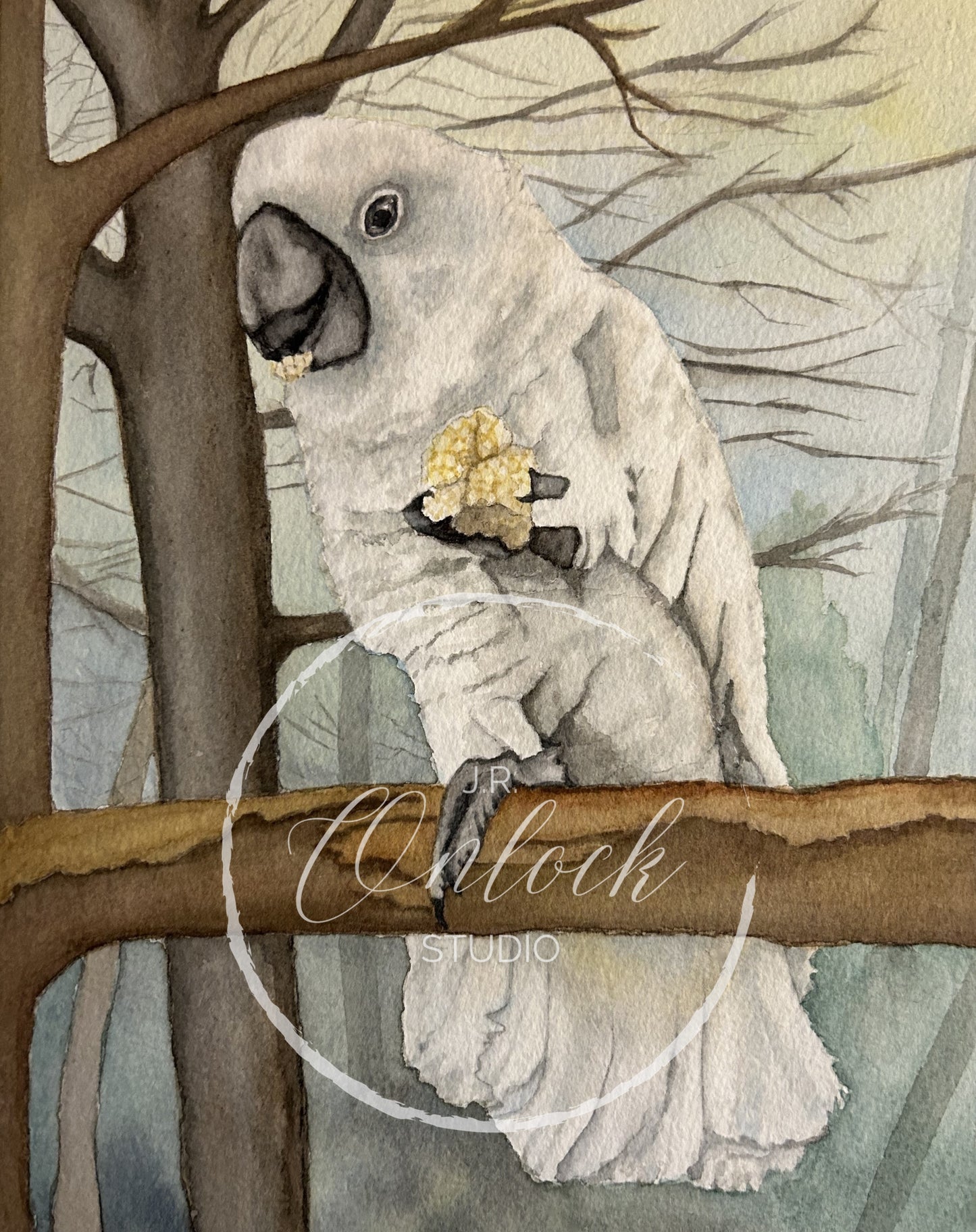 Print, Cookie the Cockatoo, Open Edition from an original painting, see separate listing if purchasing the digital version