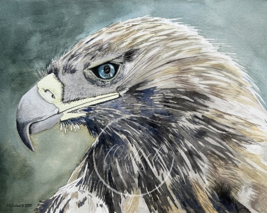 Digital, Hunter Green Vigilance, Open Edition from an original painting, hawk, see separate listing if purchasing the Print version