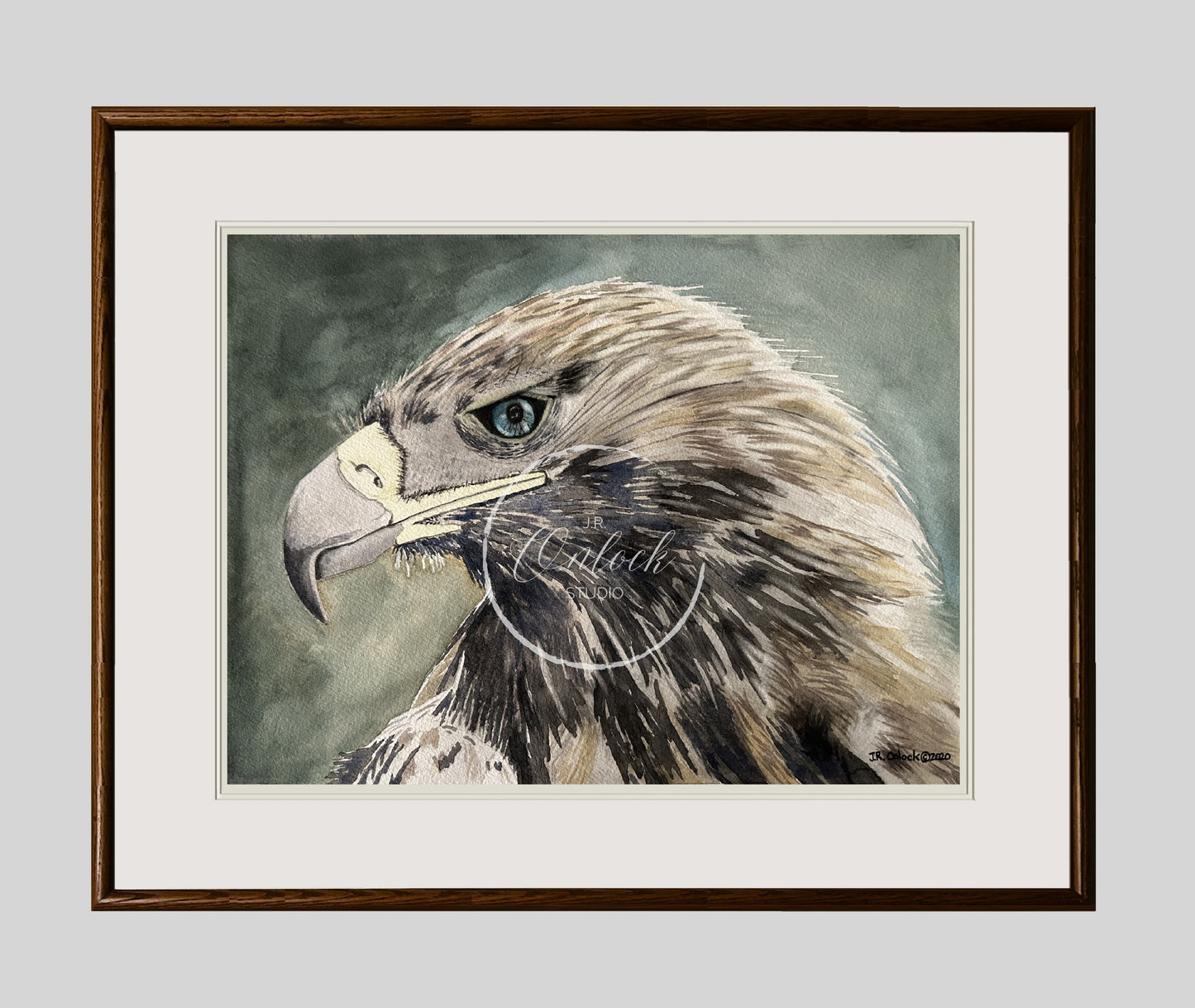 Digital, Hunter Green Vigilance, Open Edition from an original painting, hawk, see separate listing if purchasing the Print version