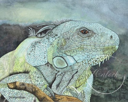 Digital, Limelight Iguana Perch, Open Edition from an original painting, see separate listing if purchasing the Print version