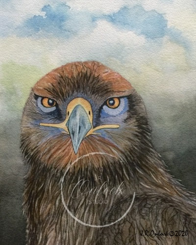 Digital, Calm Vigilance, Open Edition from an original painting, hawk, see separate listing if purchasing the Print version