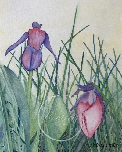 Digital, Irises in Velvet Grass, Open Edition from an original painting, see separate listing if purchasing the Print version