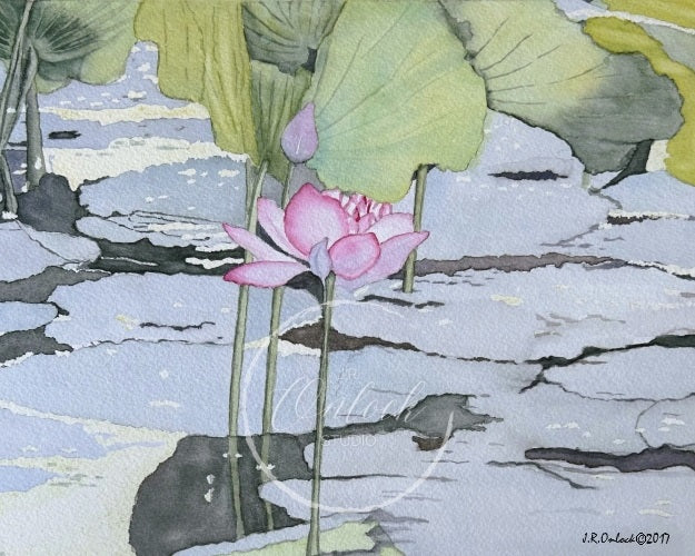 Digital, Lily Pond Reflections, Open Edition from an original painting, see separate listing if purchasing the Print version