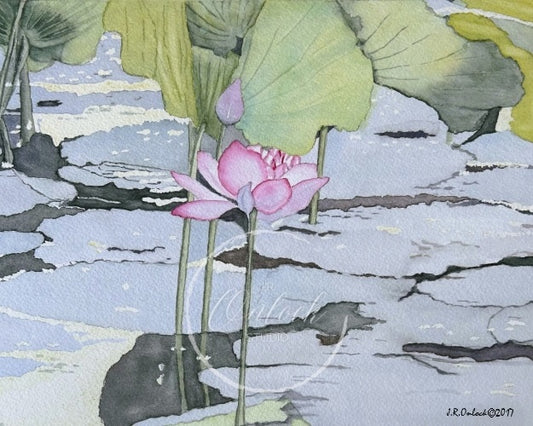 Digital, Lily Pond Reflections, Open Edition from an original painting, see separate listing if purchasing the Print version