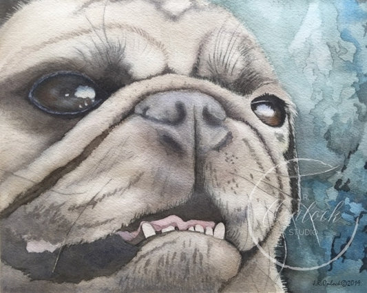 Digital, Smiles at the Park, Open Edition from an original painting, pug portrait, see separate listing if purchasing the Print version