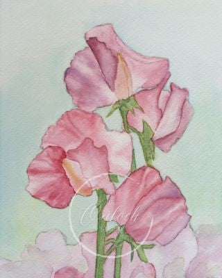 Digital, Sweet Peas In Pink, Open Edition from an original painting, see separate listing if purchasing the Print version